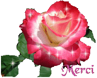 merci pour ton visite de mon blog